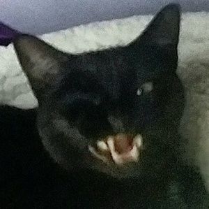 Meet your Posher, Makayla